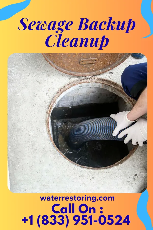 Sewage Backup Cleanup in Dixon, CA